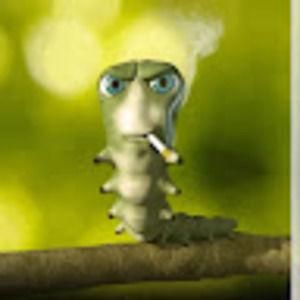 Meet your Posher, Nigel